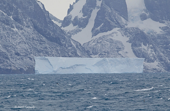 MC001103 Iceberg land