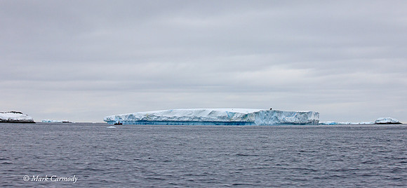 MC__1334 Icebergs Dave