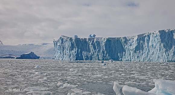 MC__5251 Iceberg Cierva Cove