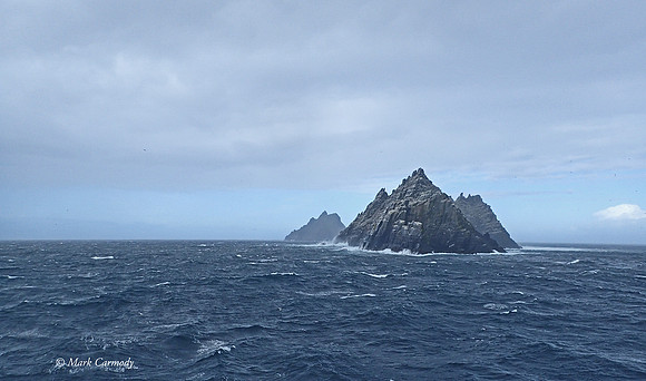 P5100261 Skellig