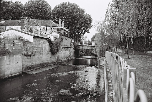 River Tolka, Griffith Park, Dublin