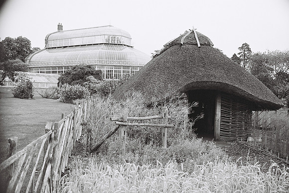 National Botanic Gardens, Dublin