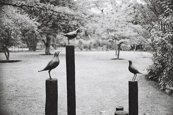 Sculpture in Context, 2019