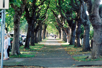 Griffith Avenue, Dublin