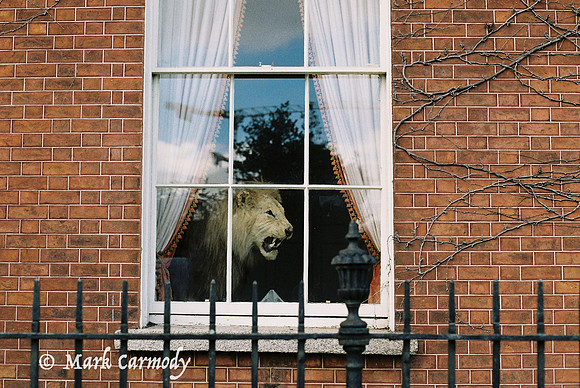 The Lion, the Witch and the Wardrobe, Dublin