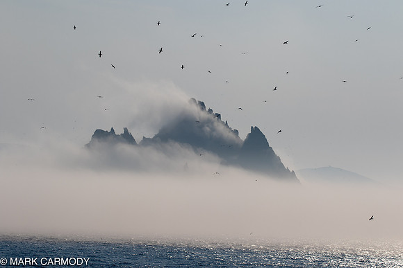 Skelligs - Mark Carmody-2