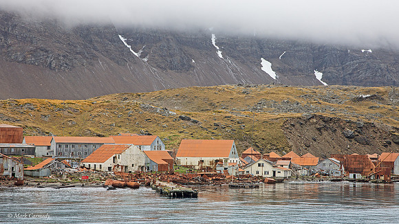 MC__9849 Leith Harbour