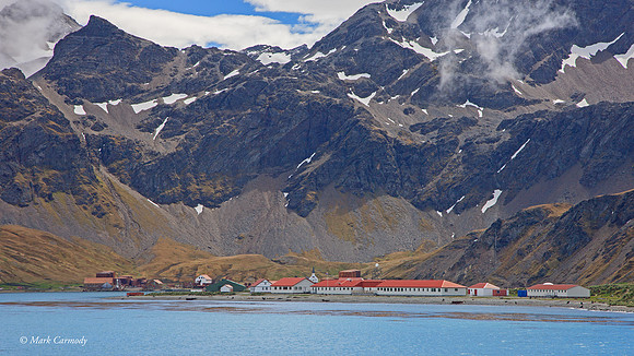 Grytviken
